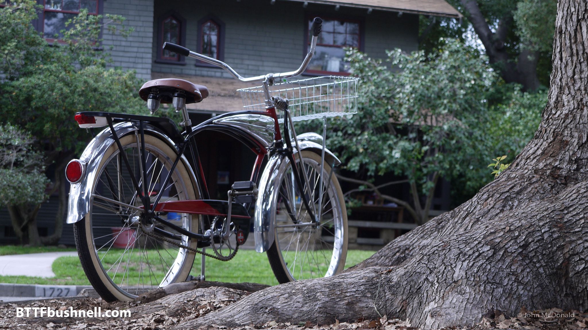 McFly Bike at Tree w Loraine's Window