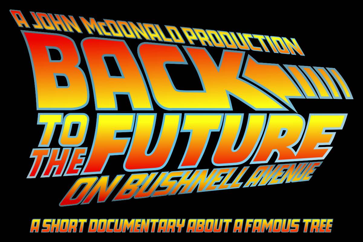 Back to the Future on Bushnell Avenue logo